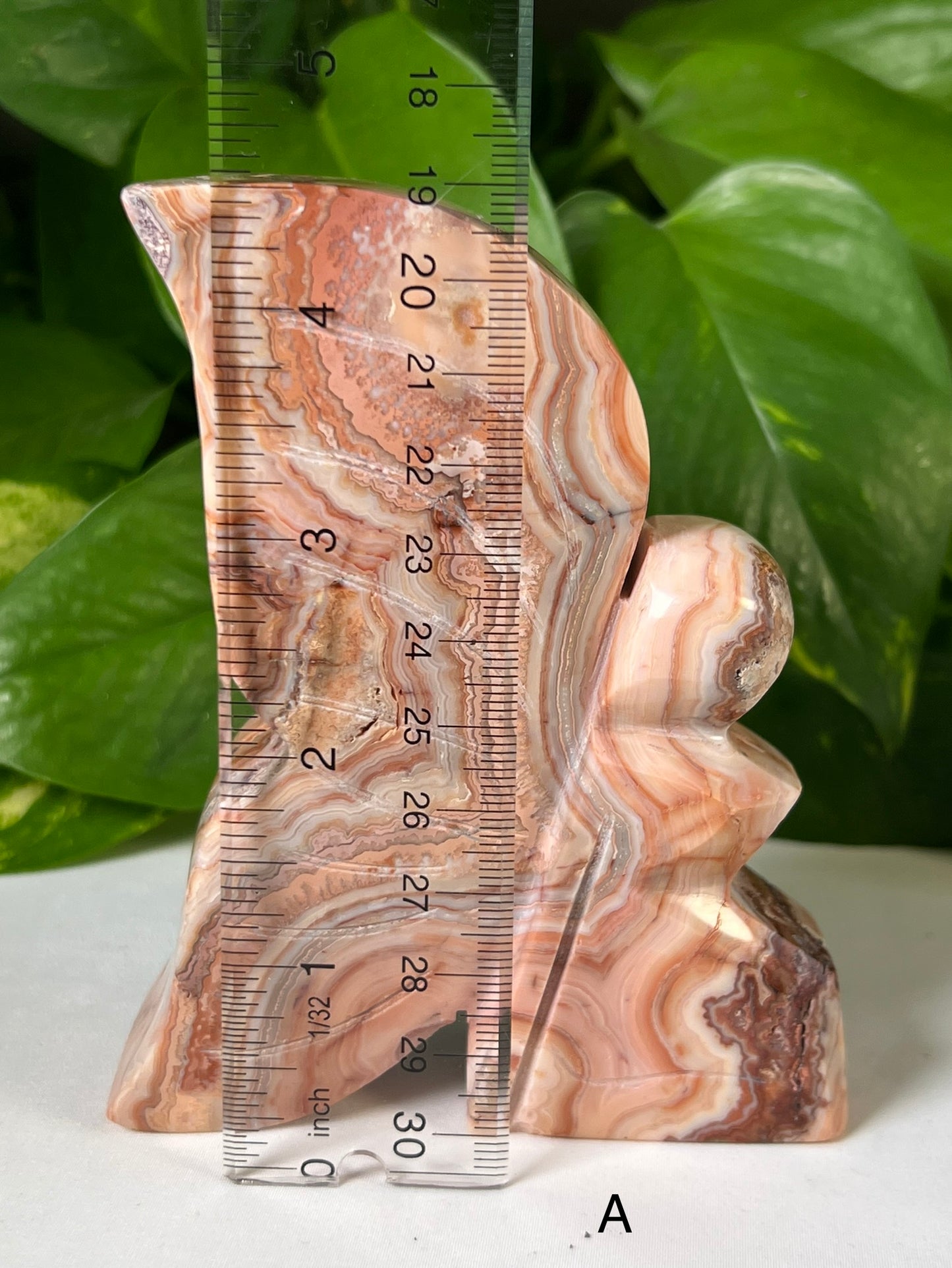 Large Crazy Lace Agate Fairies