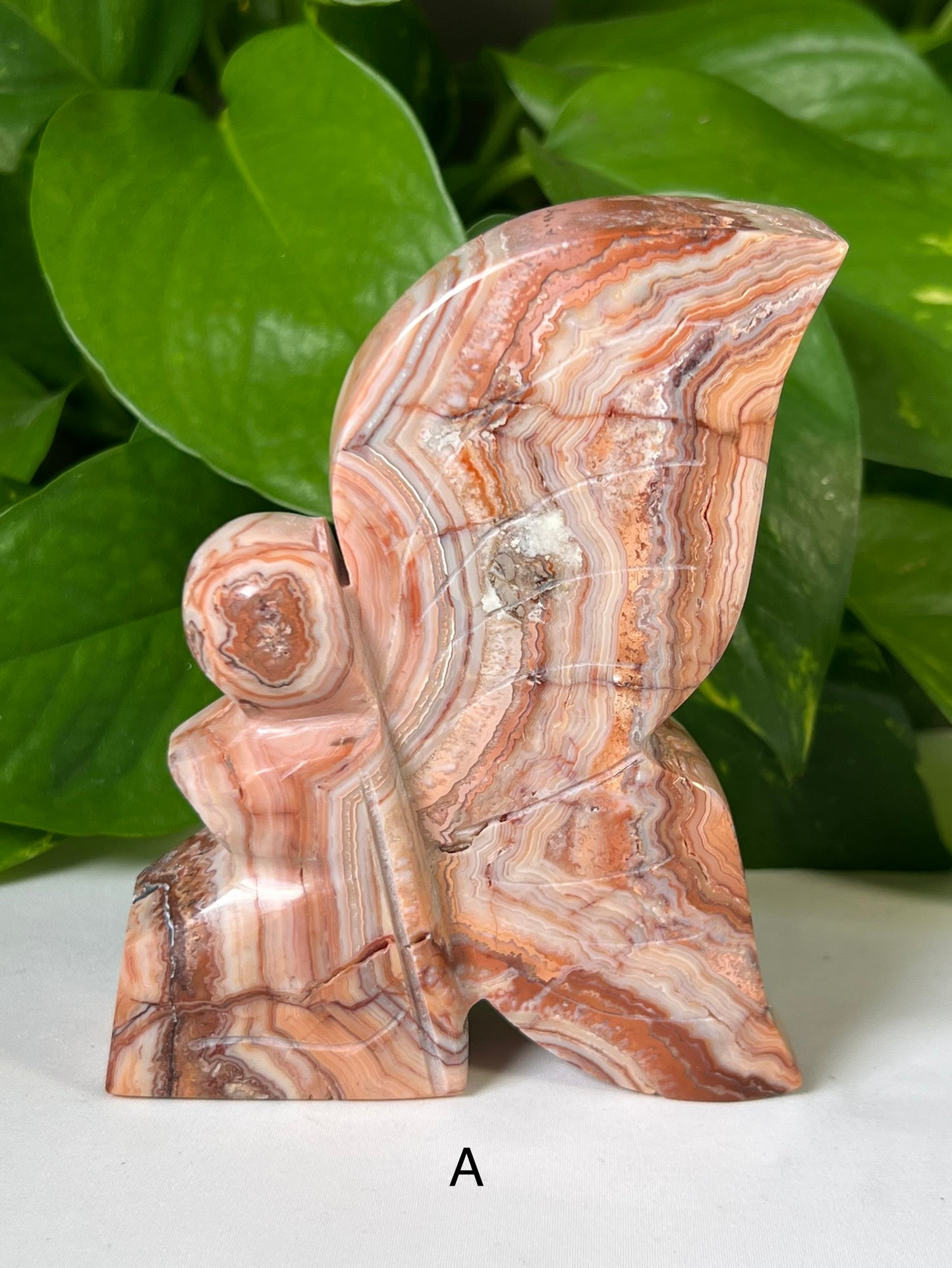 Large Crazy Lace Agate Fairies