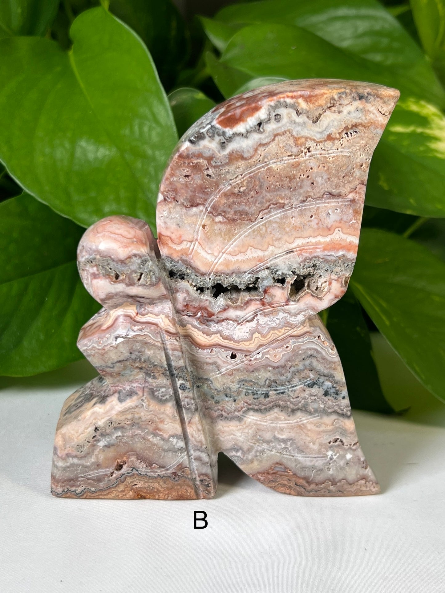 Large Crazy Lace Agate Fairies