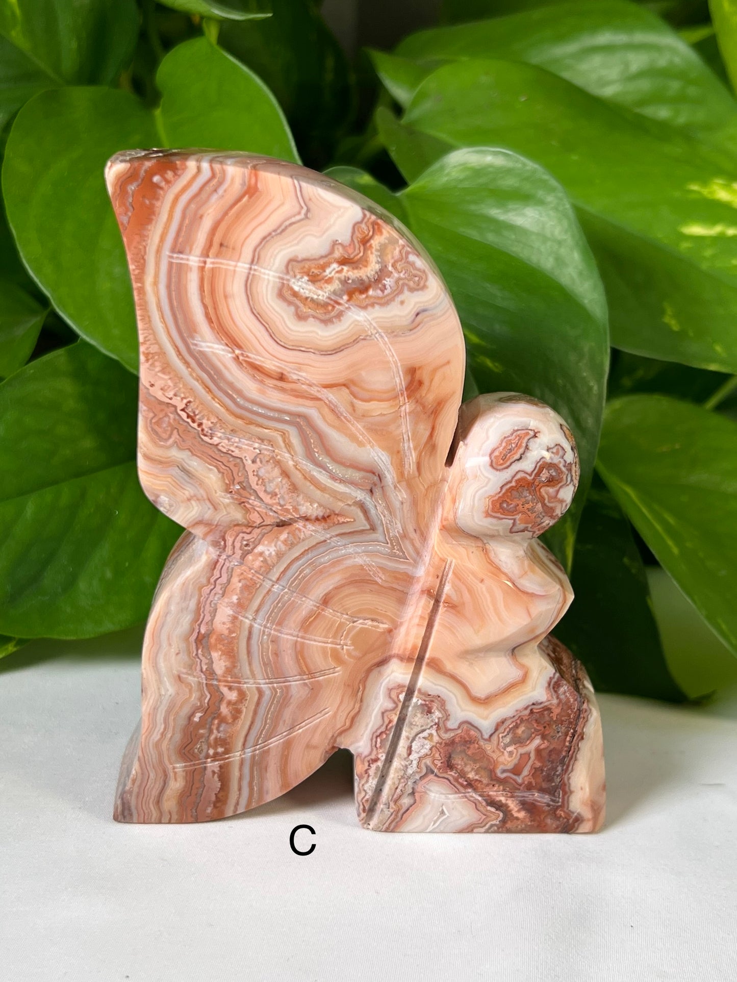 Large Crazy Lace Agate Fairies
