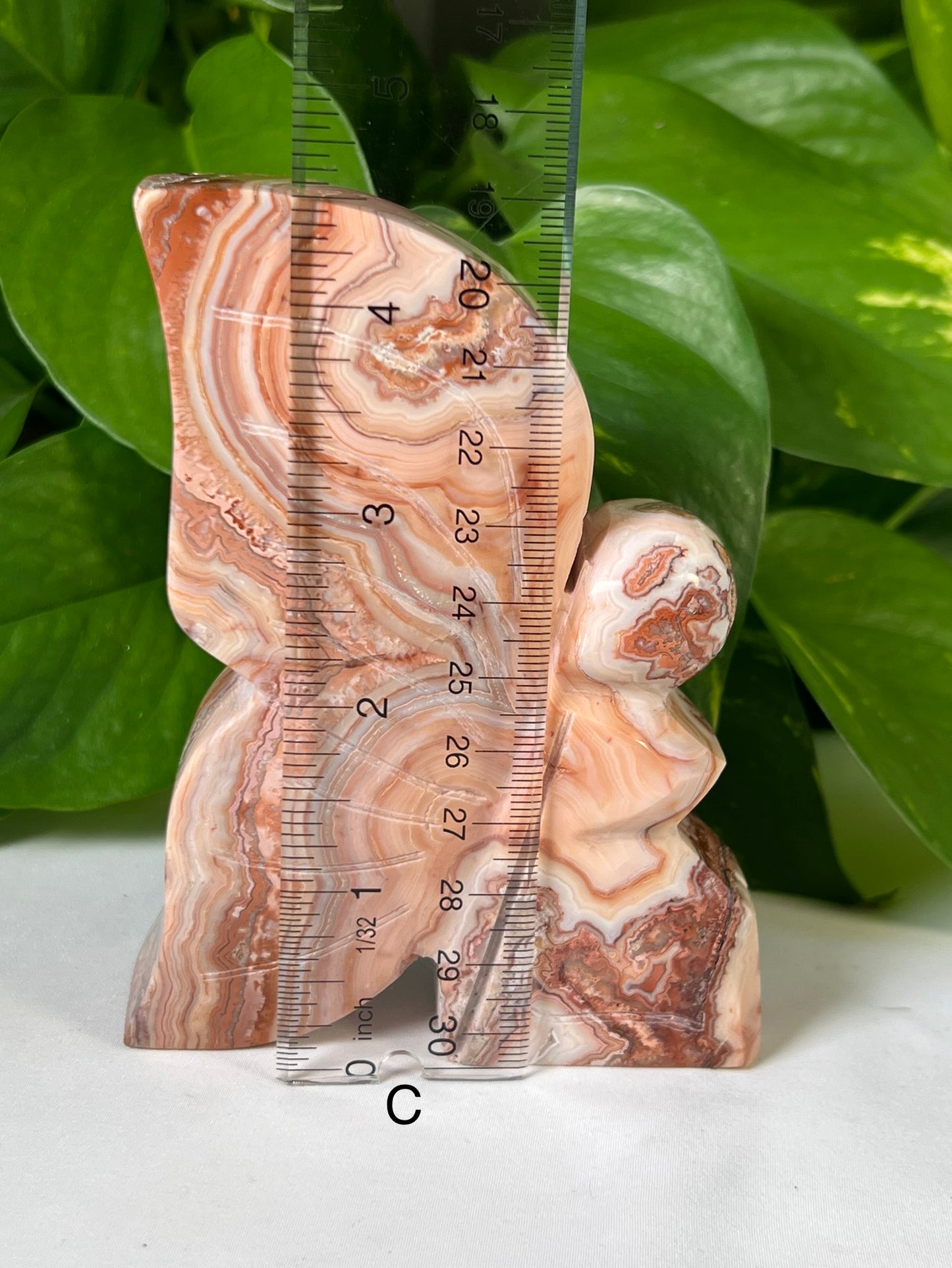 Large Crazy Lace Agate Fairies