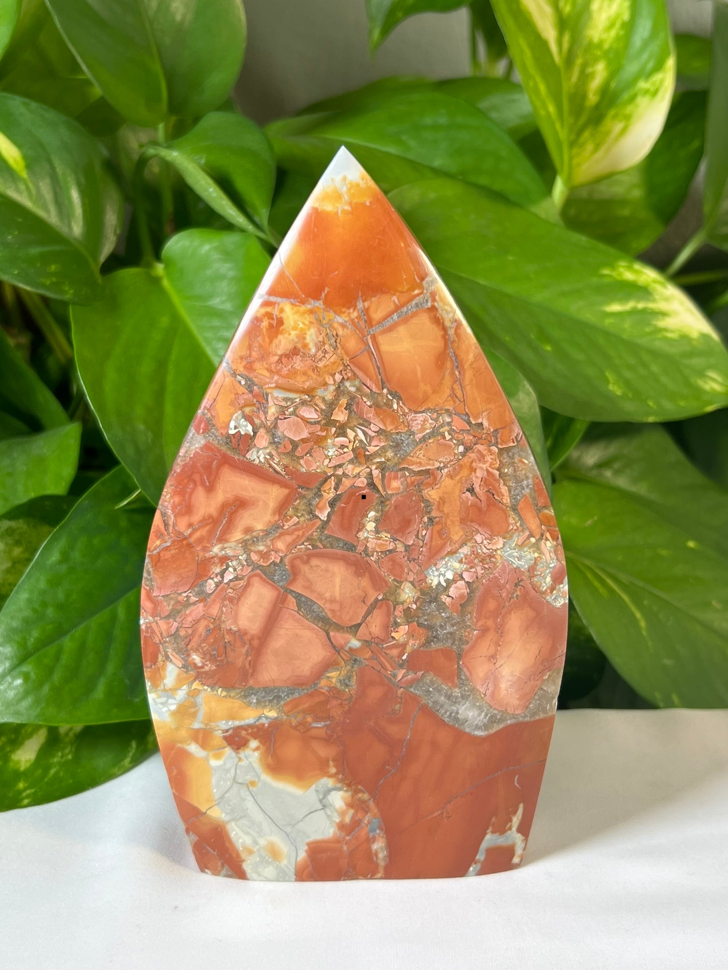Maligano Jasper