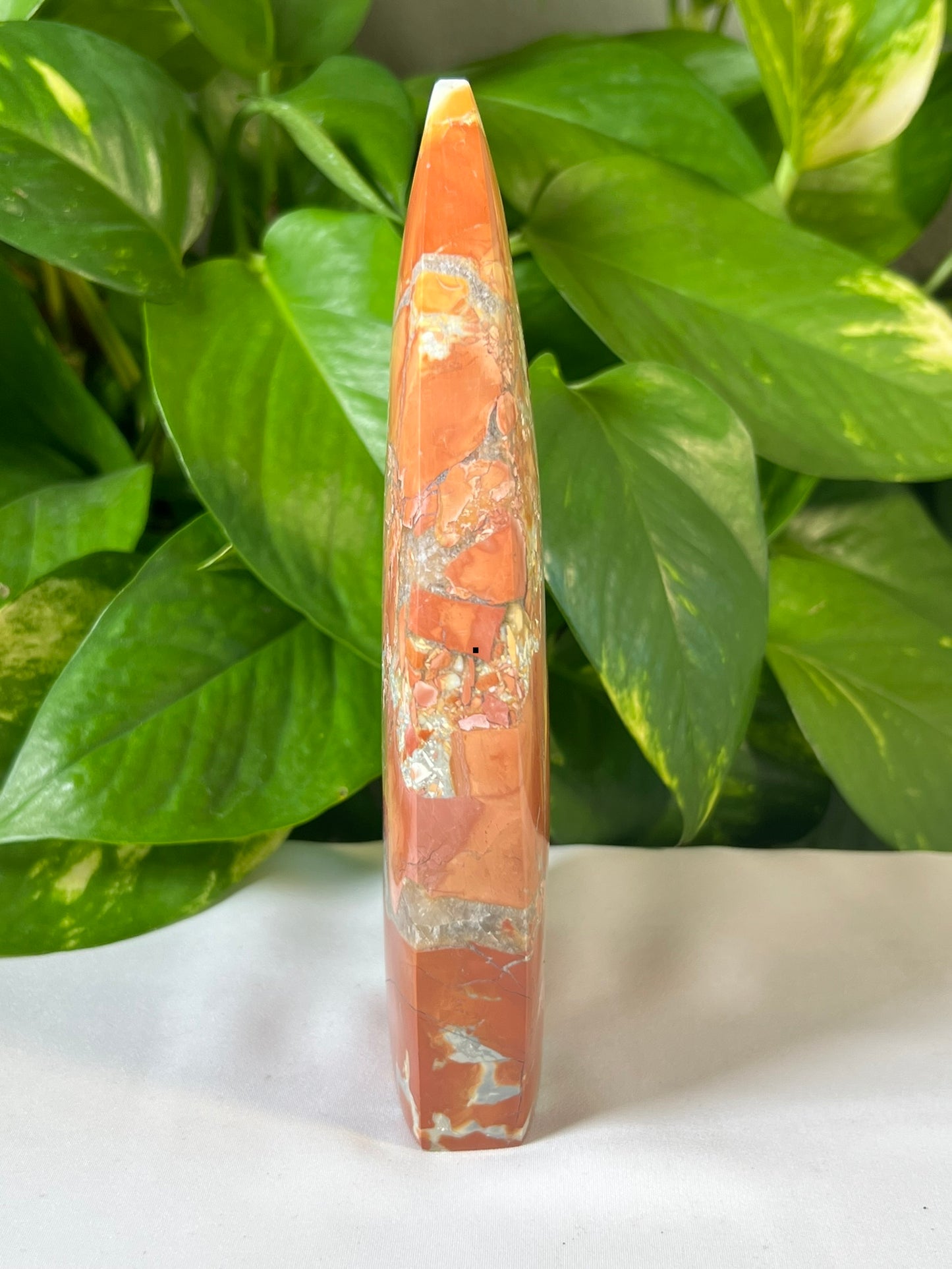 Maligano Jasper