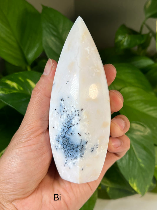 Flower Dendritic Agate Bullets