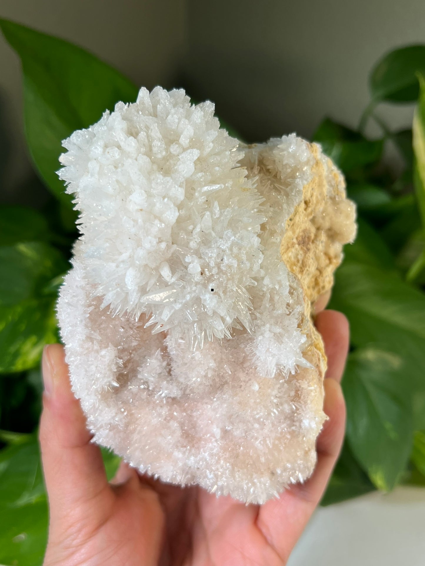Quartz Specimen
