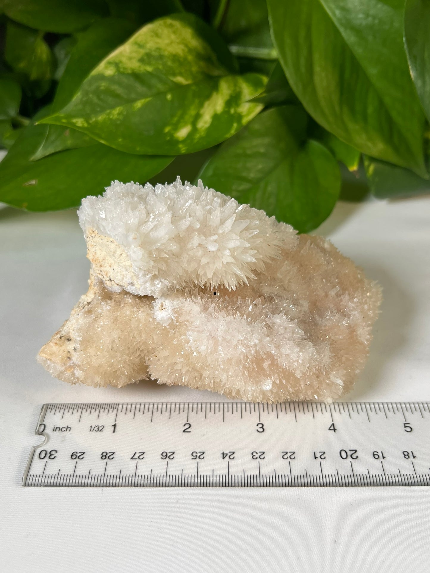 Quartz Specimen