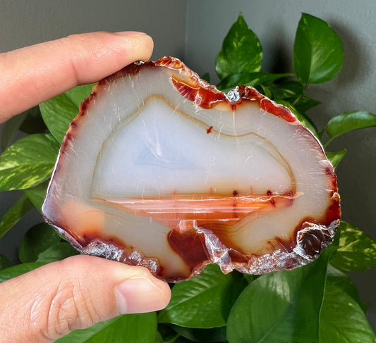 Carnelian Slabs