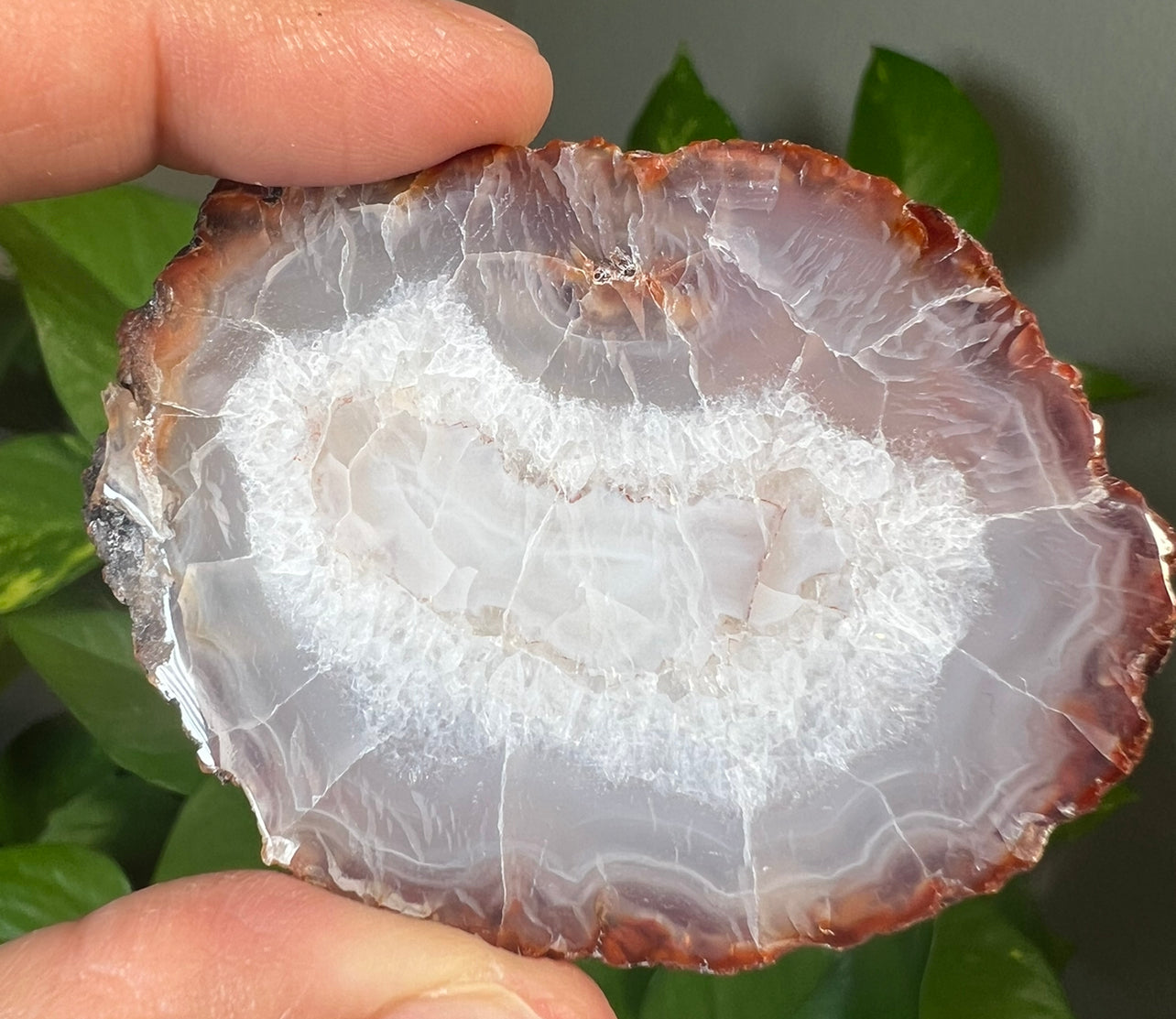 Carnelian Slabs