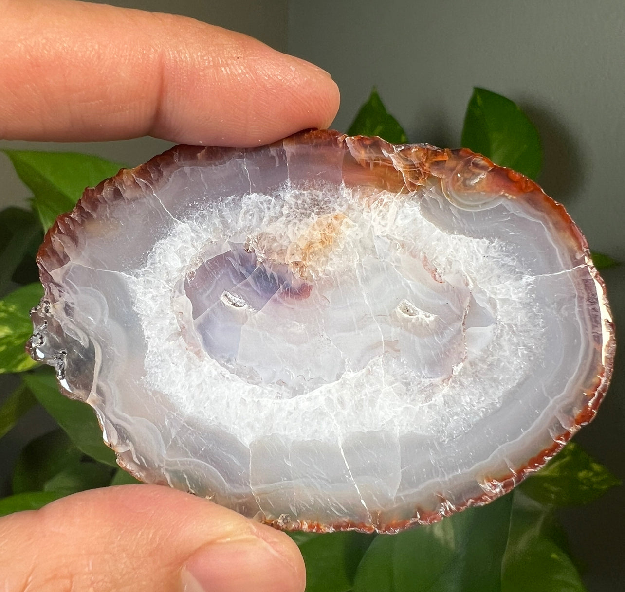 Carnelian Slabs