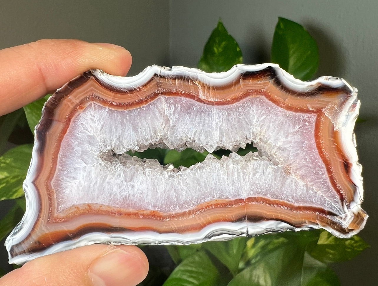 Carnelian Slabs