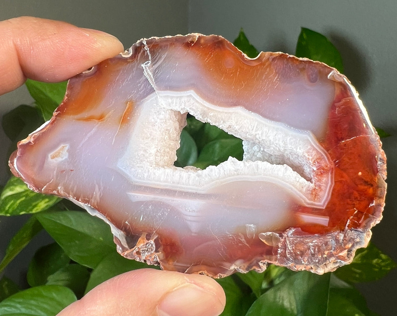 Carnelian Slabs