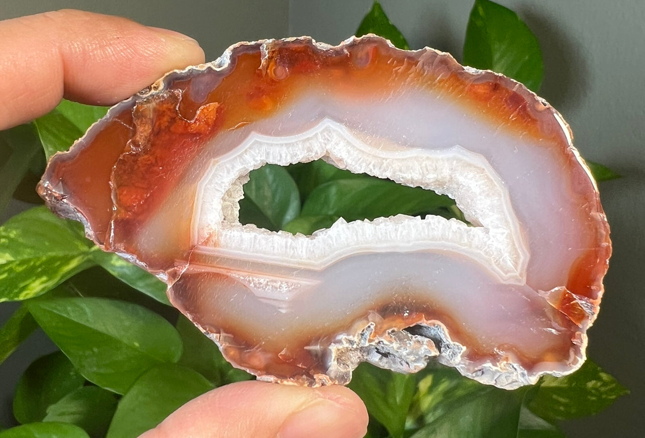 Carnelian Slabs