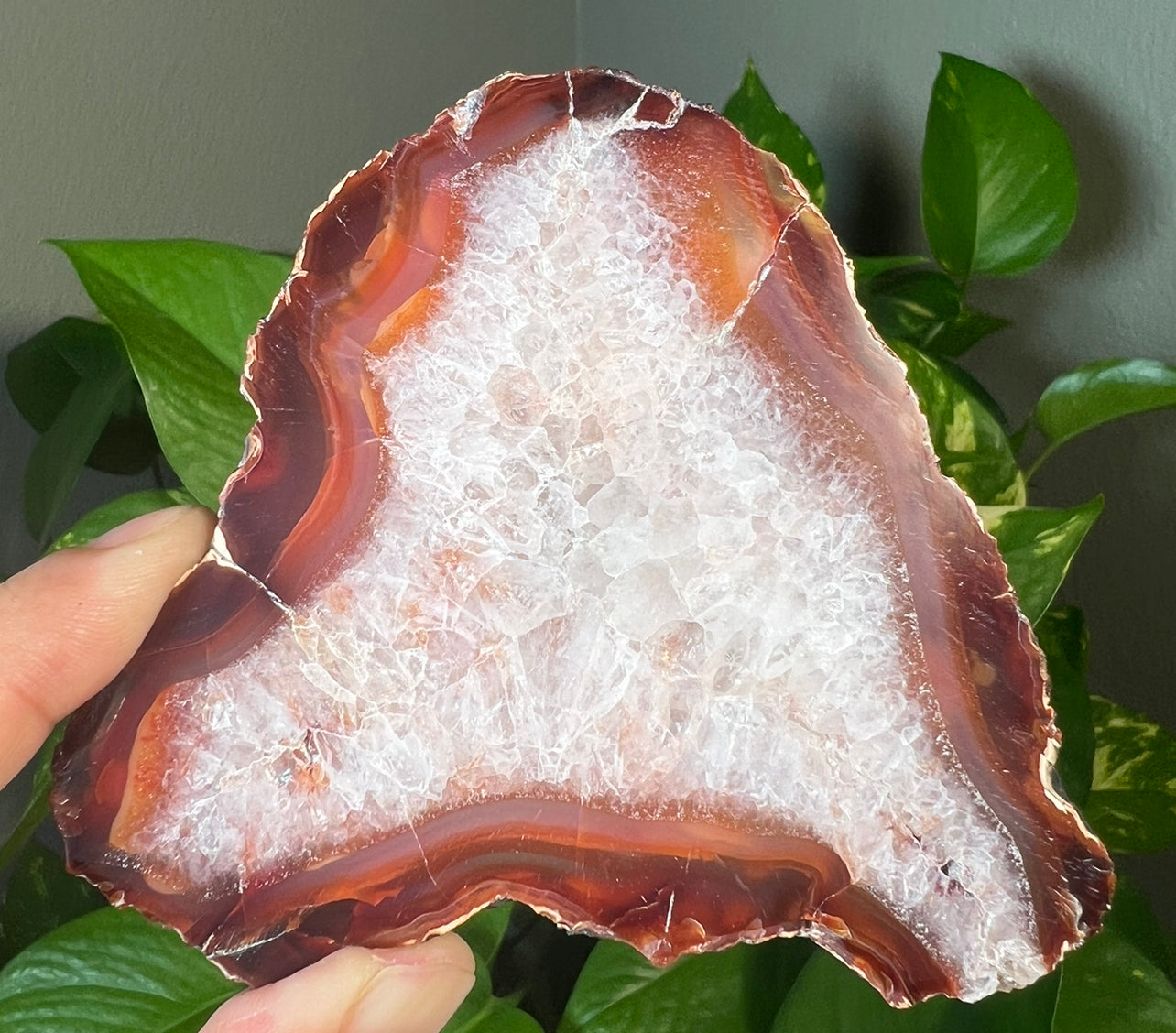 Carnelian Slabs