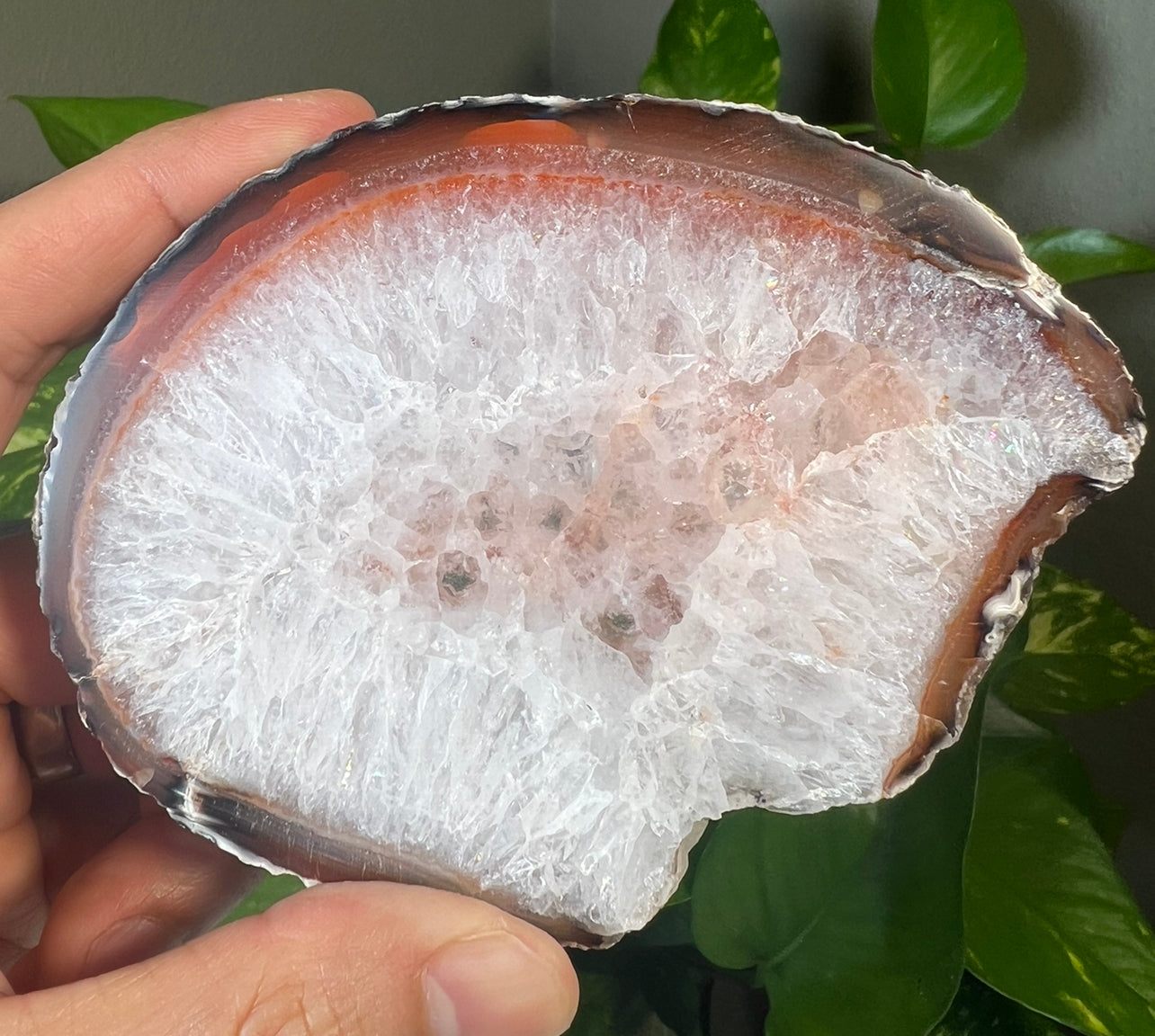 Carnelian Slabs
