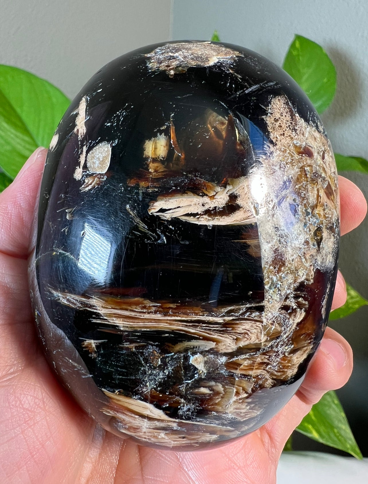 Large Amber Palmstones