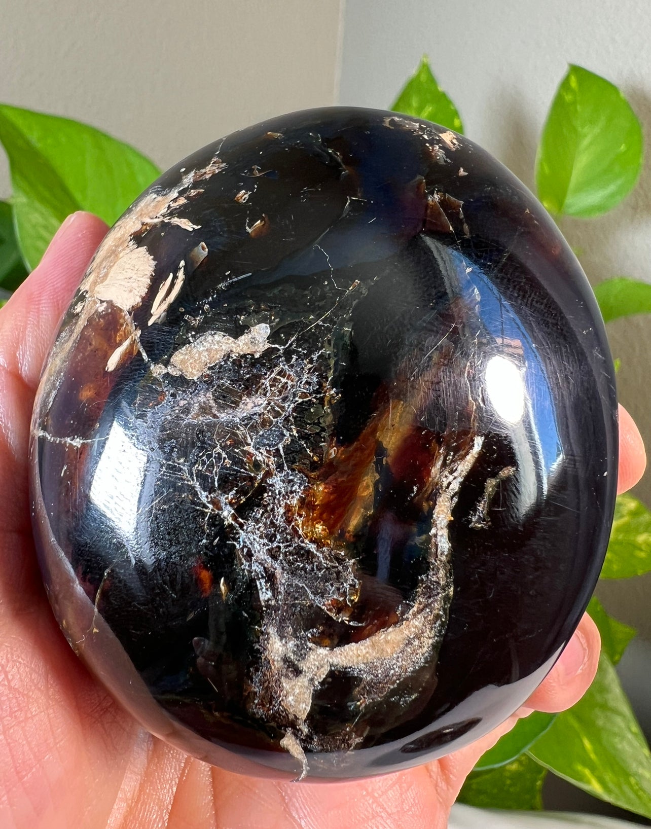 Large Amber Palmstones