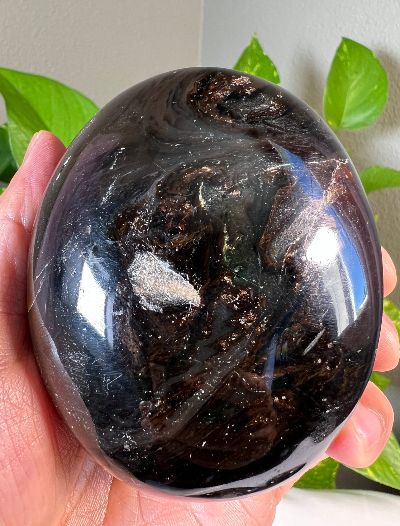 Large Amber Palmstones