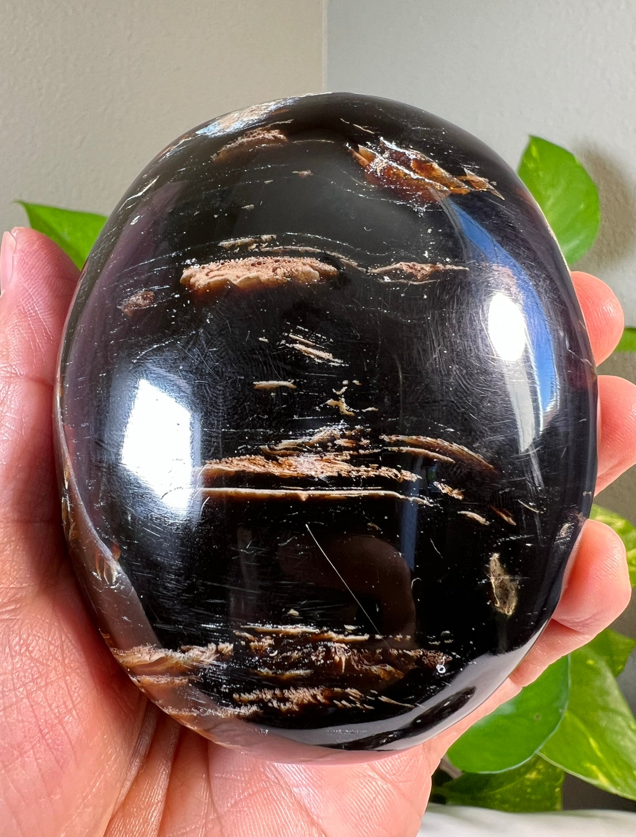 Large Amber Palmstones