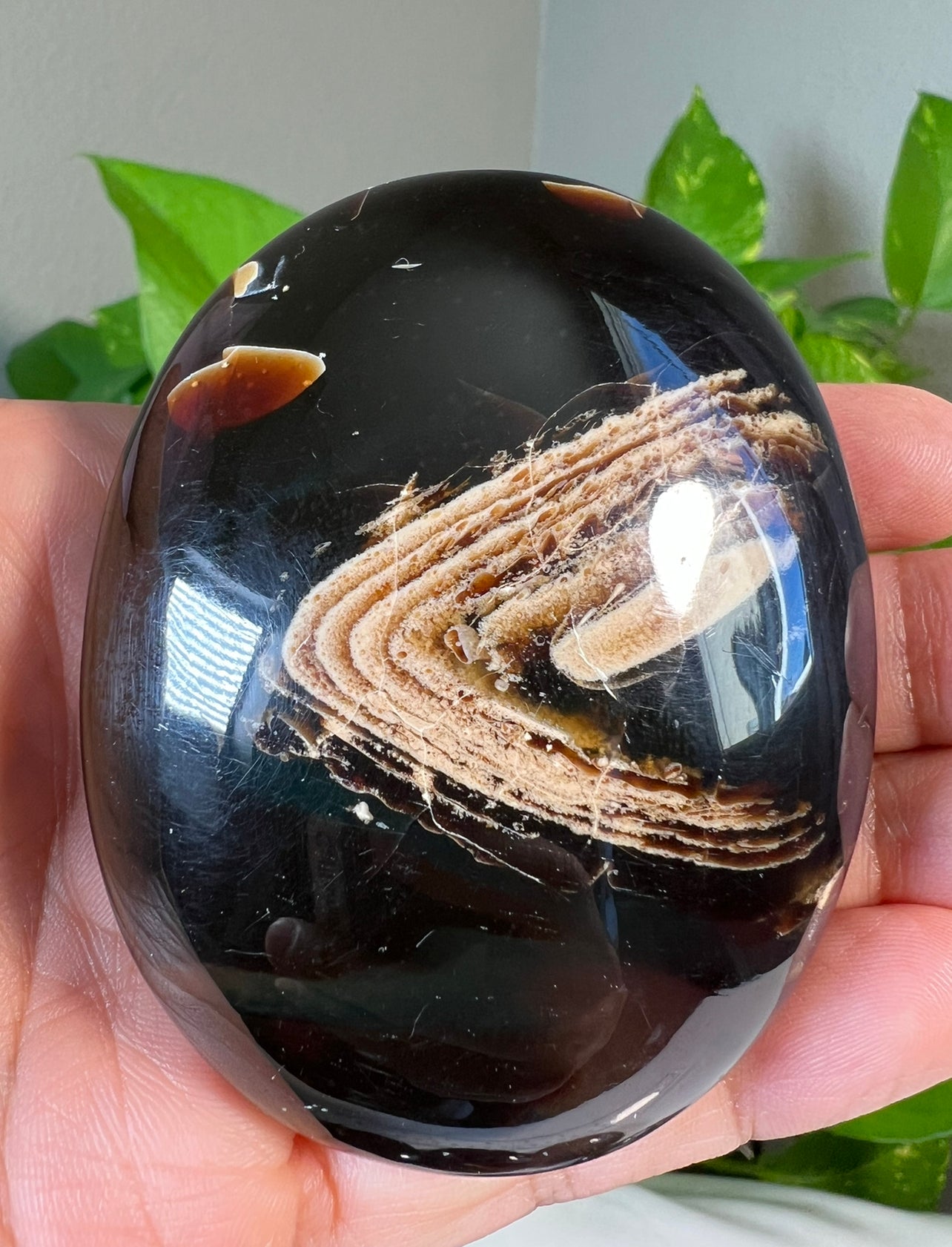 Amber Palmstone