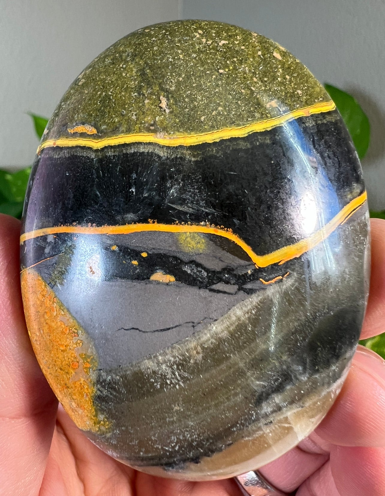 Large Bumblebee Jasper Palm Stones
