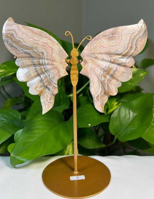 Crazy Lace Agate Wings