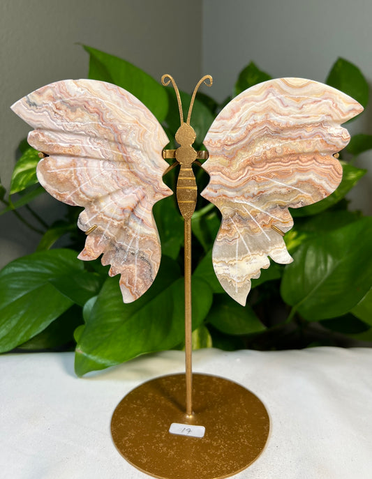 Crazy Lace Agate Wings