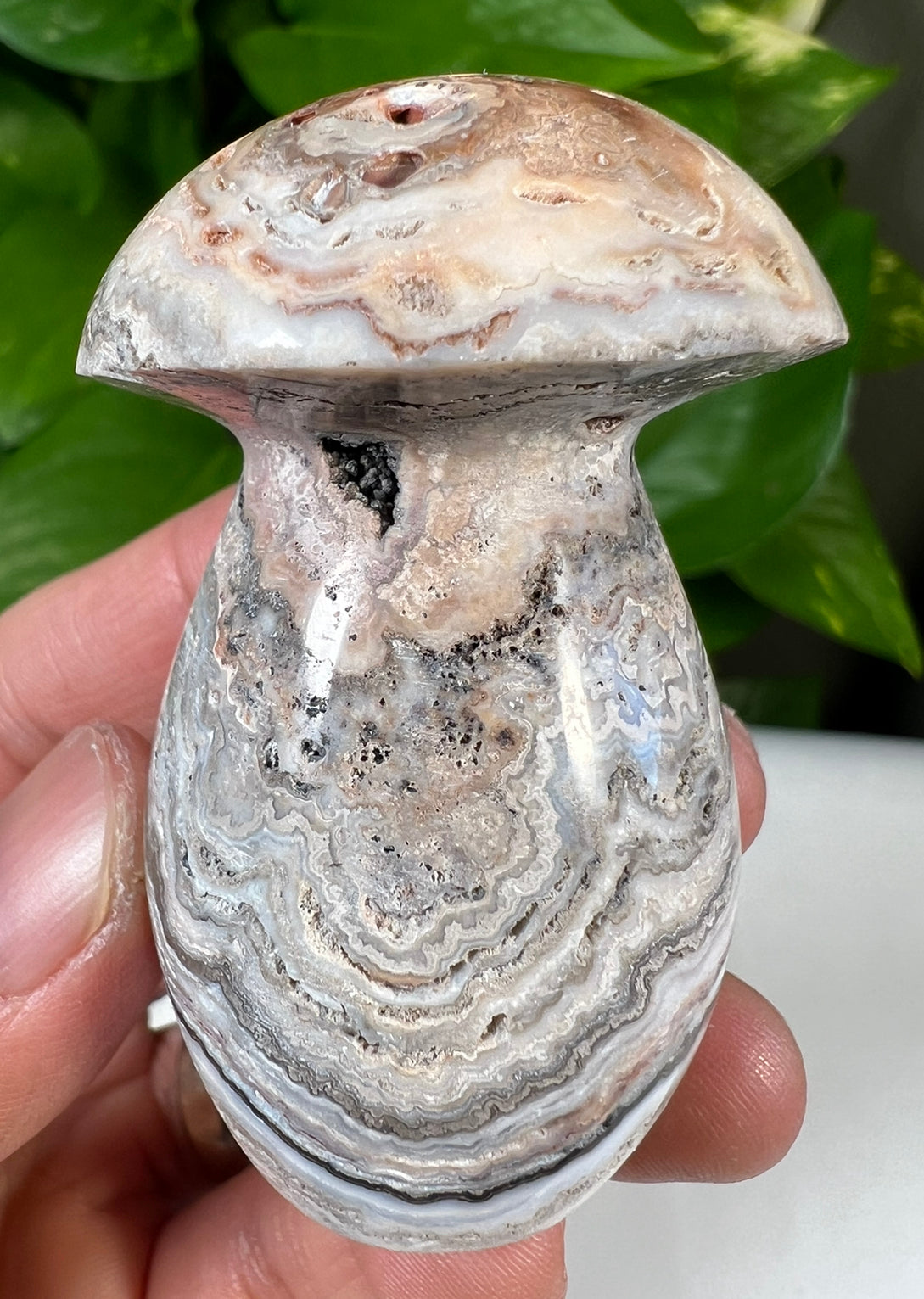 Crazy Lace Agate Mushrooms