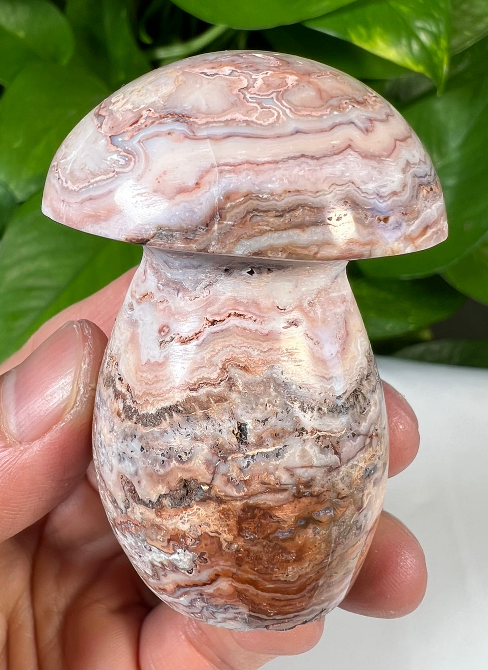 Crazy Lace Agate Mushrooms