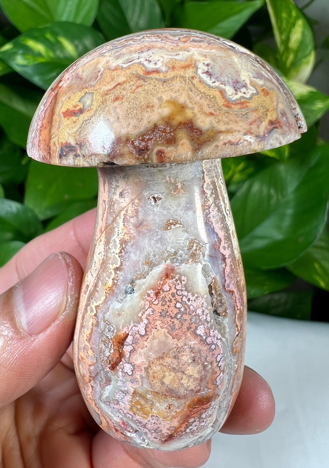 Crazy Lace Agate Mushrooms