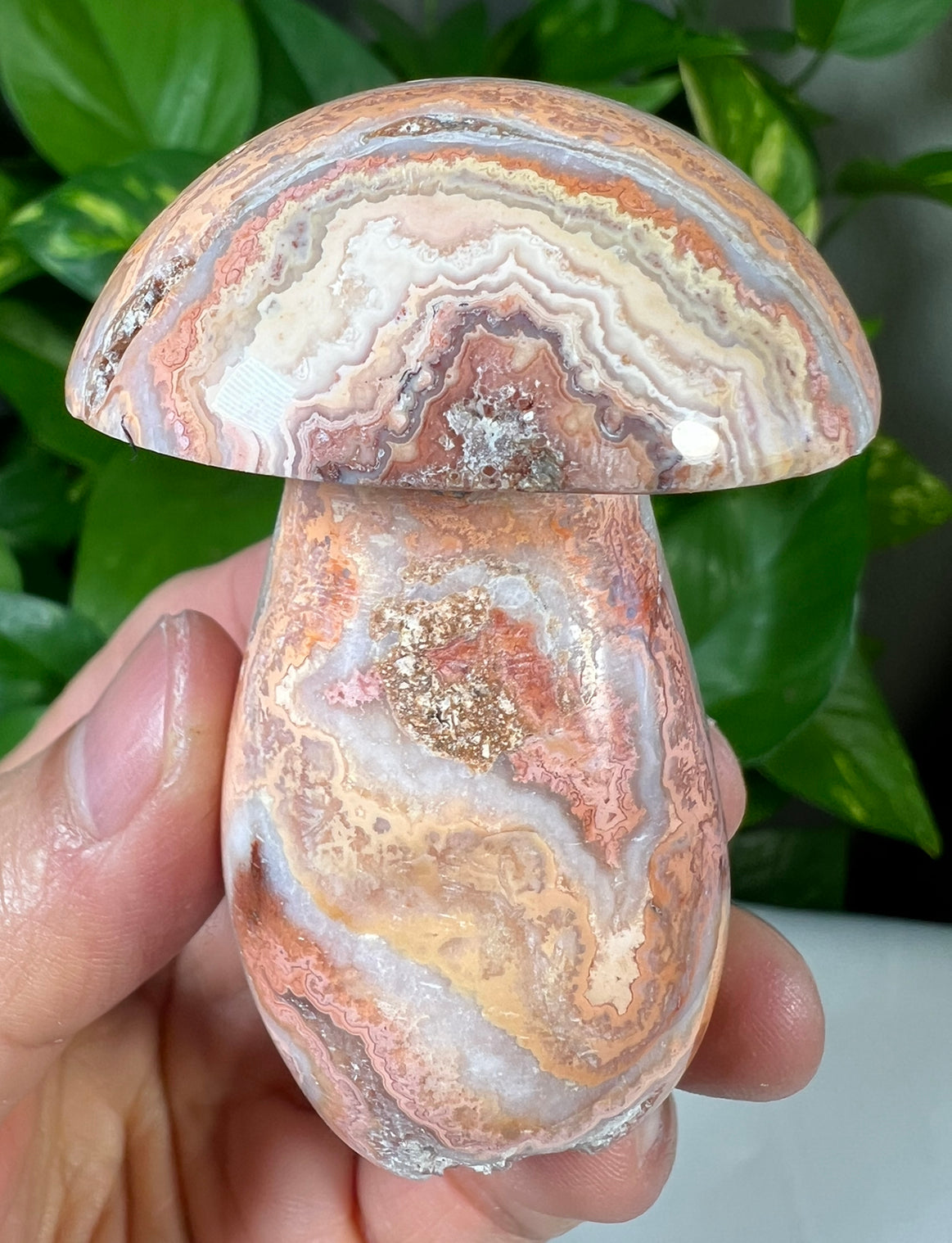 Crazy Lace Agate Mushrooms