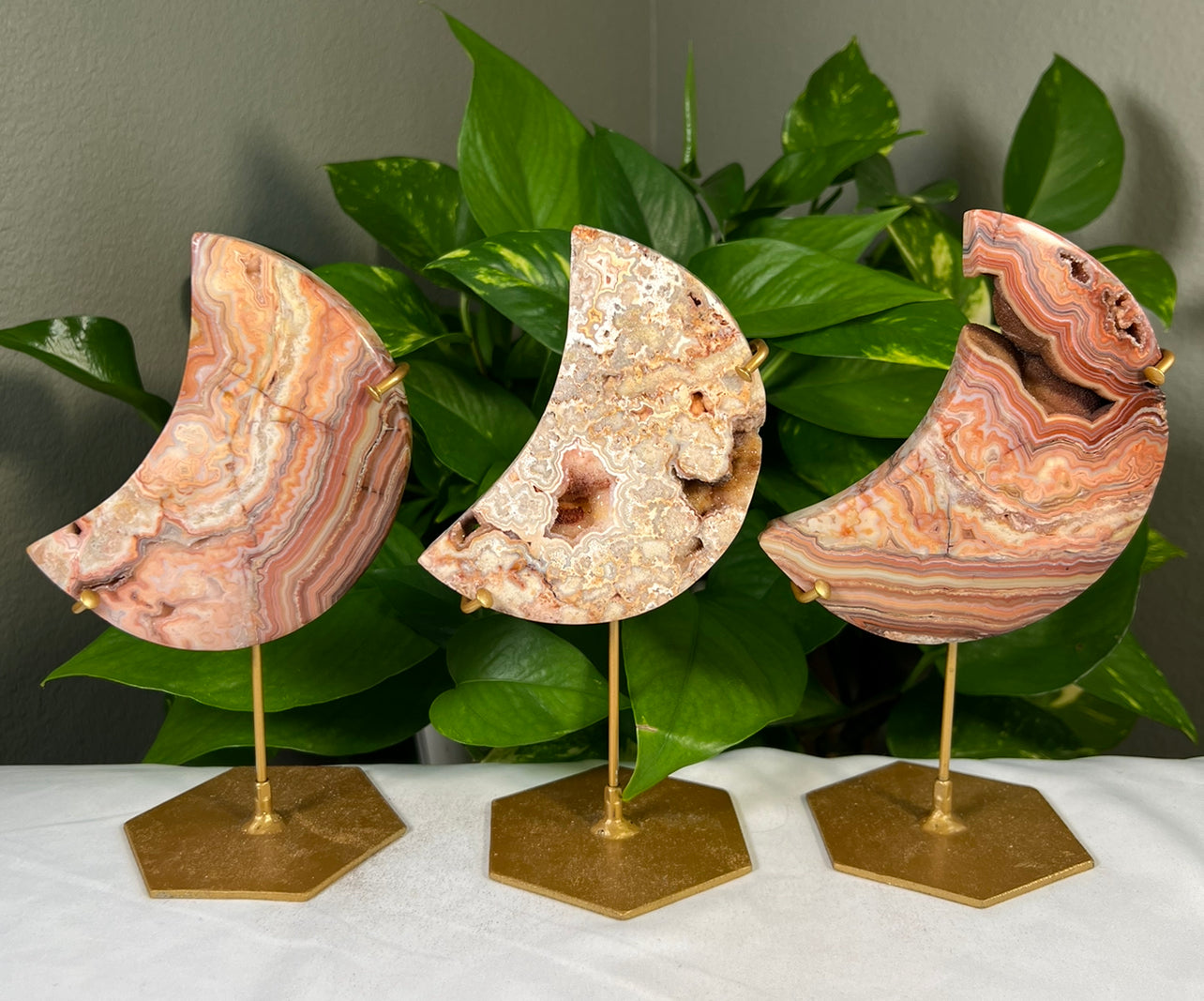 Crazy Lace Agate Moons