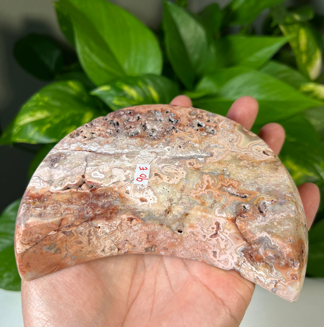 Crazy Lace Agate Moon Bowls