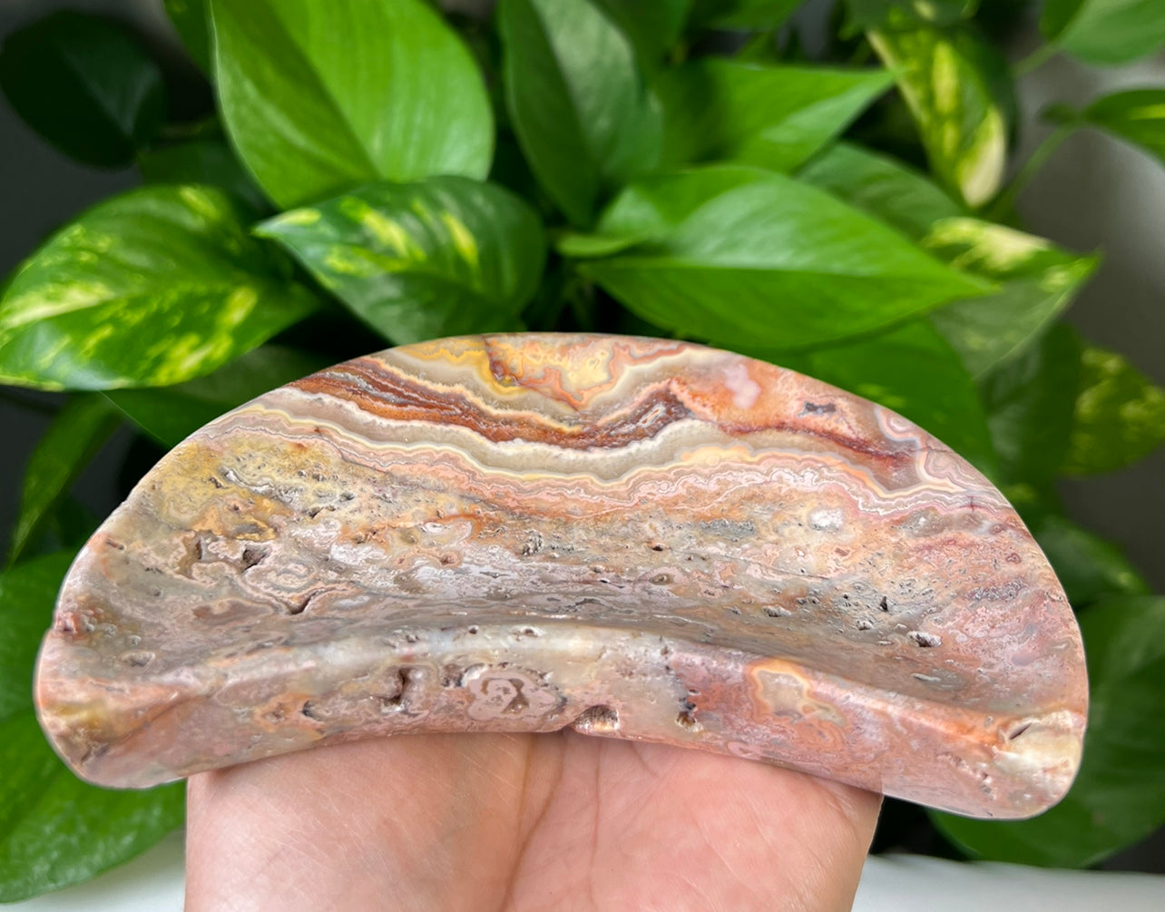Crazy Lace Agate Moon Bowls
