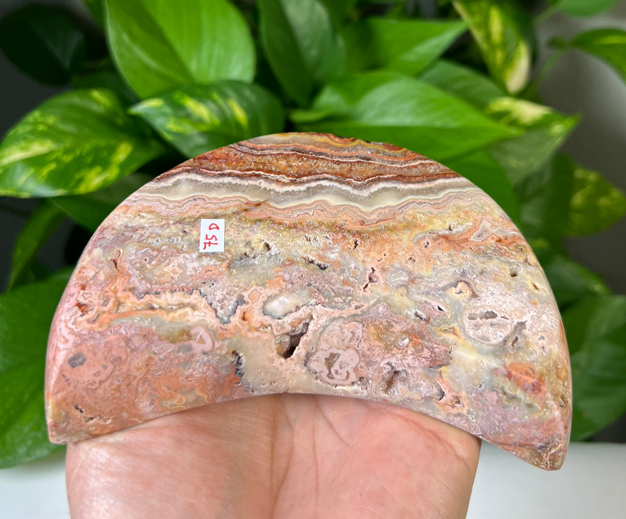 Crazy Lace Agate Moon Bowls