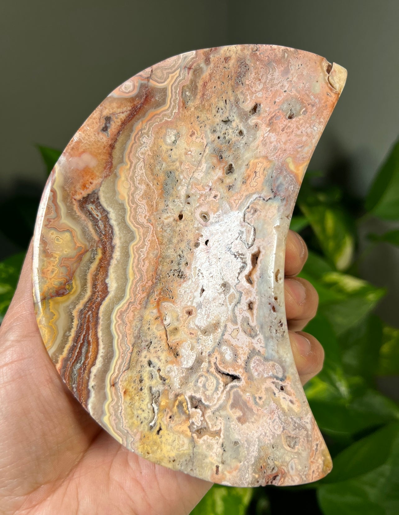 Crazy Lace Agate Moon Bowls