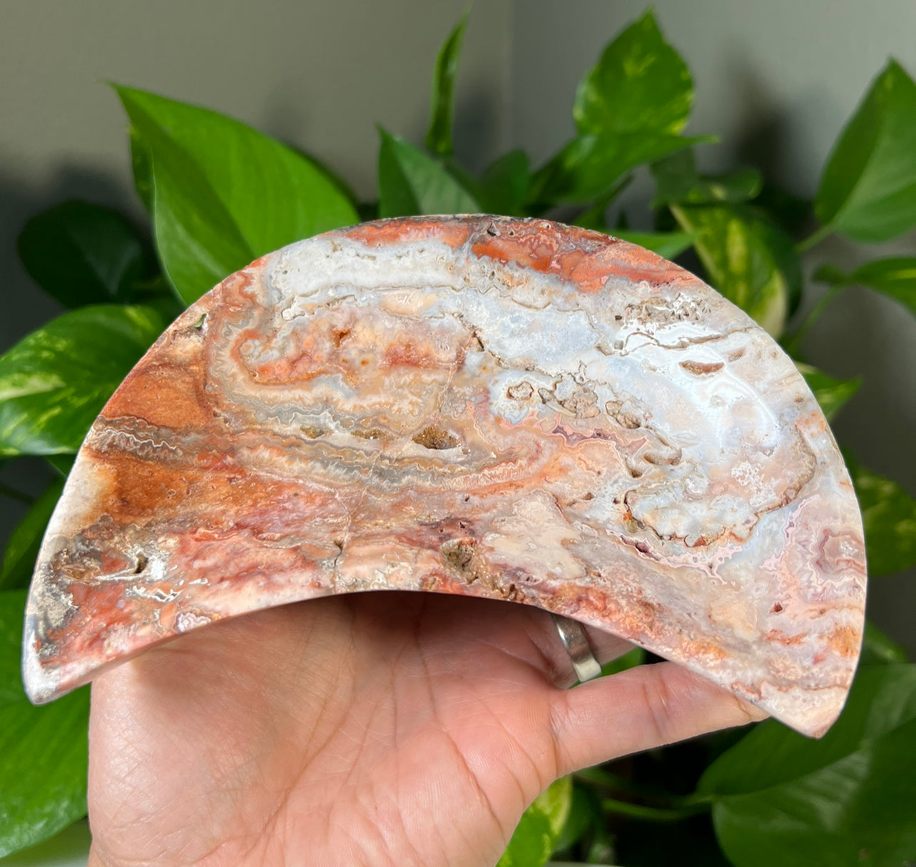 Crazy Lace Agate Moon Bowls