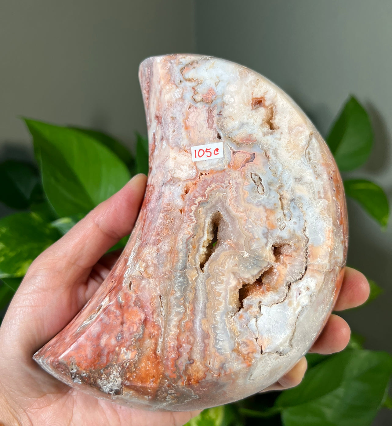 Crazy Lace Agate Moon Bowls
